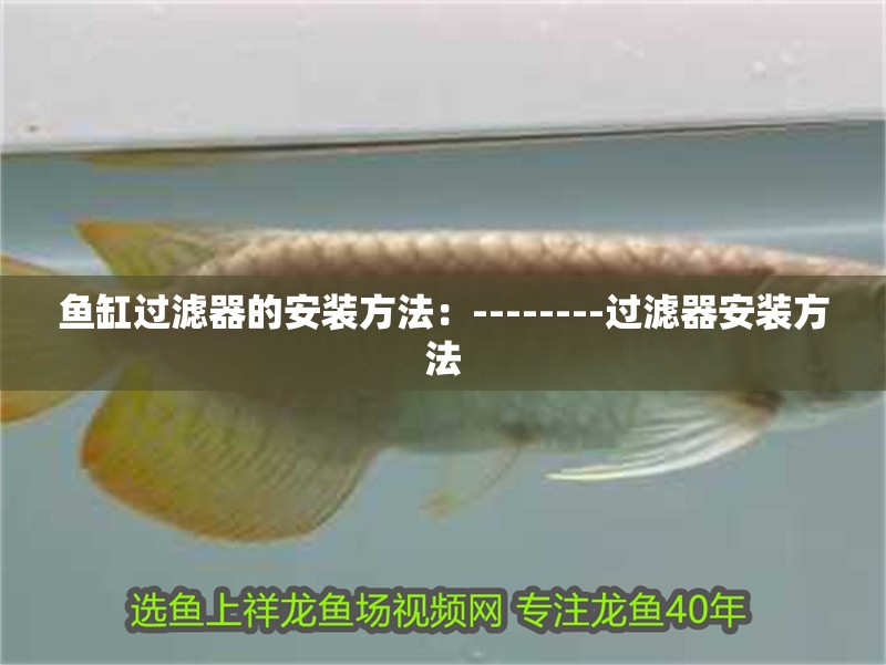 魚缸過濾器的安裝方法：--------過濾器安裝方法