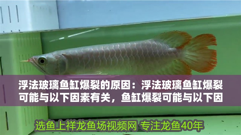 浮法玻璃魚缸爆裂的原因：浮法玻璃魚缸爆裂可能與以下因素有關，魚缸爆裂可能與以下因素有關 浮法玻璃魚缸爆裂的原因：浮法玻璃魚缸爆裂可能與以下因素有關，魚缸爆裂可能與以下因素有關 魚缸百科