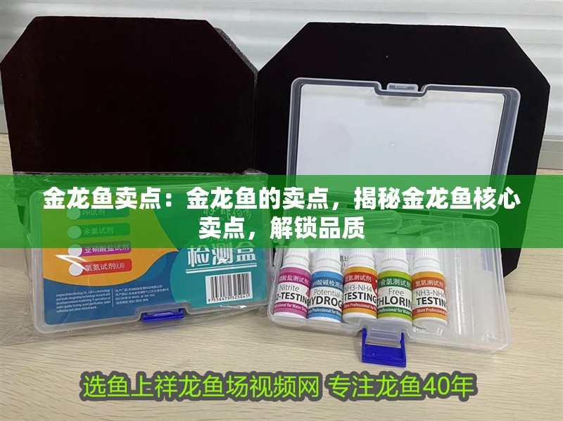 金龍魚賣點：金龍魚的賣點，揭秘金龍魚核心賣點，解鎖品質 金龍魚賣點：金龍魚的賣點，揭秘金龍魚核心賣點，解鎖品質 水族問答