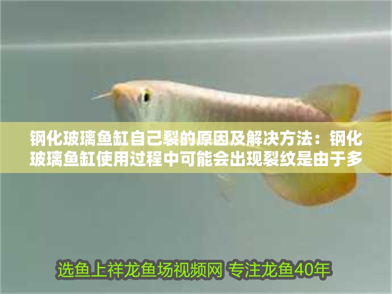 鋼化玻璃魚缸自己裂的原因及解決方法：鋼化玻璃魚缸使用過程中可能會(huì)出現(xiàn)裂紋是由于多種因素引起的