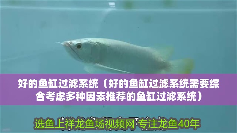 好的魚缸過濾系統(tǒng)（好的魚缸過濾系統(tǒng)需要綜合考慮多種因素推薦的魚缸過濾系統(tǒng)）