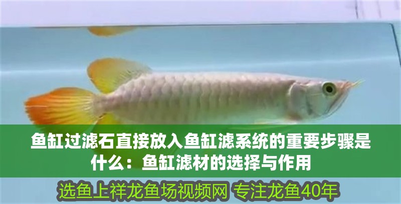 魚缸過濾石直接放入魚缸濾系統的重要步驟是什么：魚缸濾材的選擇與作用