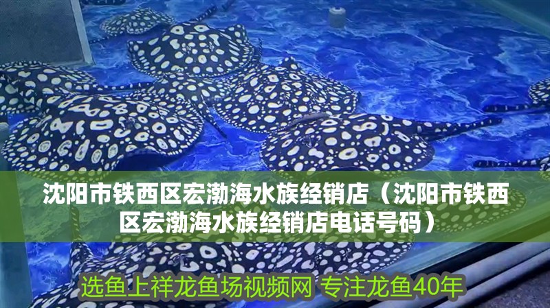 沈陽市鐵西區宏渤海水族經銷店（沈陽市鐵西區宏渤海水族經銷店電話號碼） 沈陽市鐵西區宏渤海水族經銷店（沈陽市鐵西區宏渤海水族經銷店電話號碼） 全國水族館企業名錄 第2張