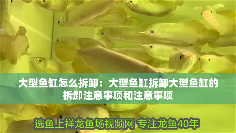 大型魚缸怎么拆卸：大型魚缸拆卸大型魚缸的拆卸注意事項和注意事項