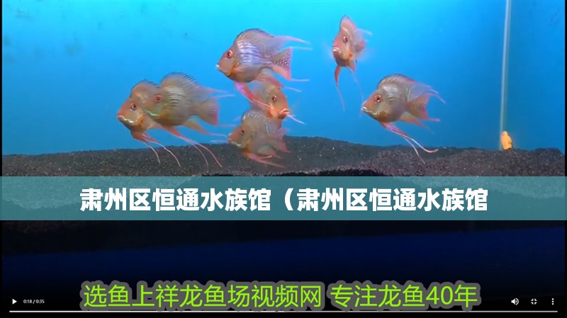 肅州區恒通水族館（肅州區恒通水族館
