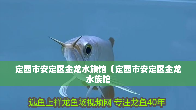 定西市安定區(qū)金龍水族館（定西市安定區(qū)金龍水族館