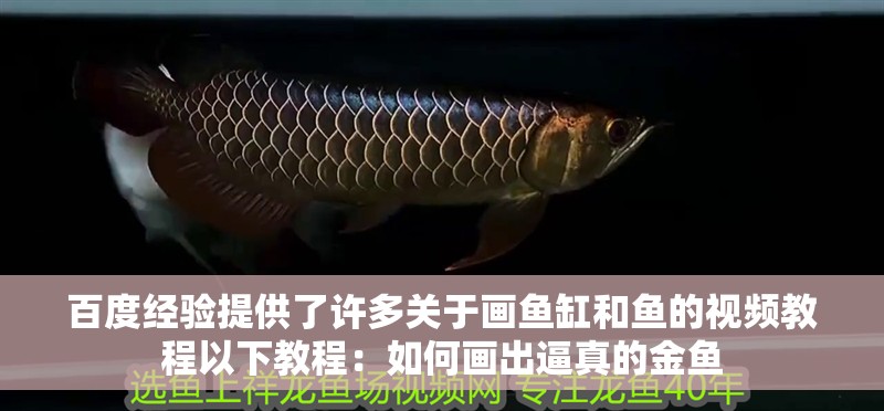 百度經驗提供了許多關于畫魚缸和魚的視頻教程以下教程：如何畫出逼真的金魚