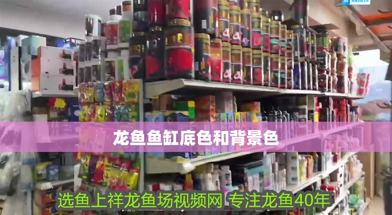 龍魚魚缸底色和背景色 龍魚魚缸底色和背景色 龍魚百科