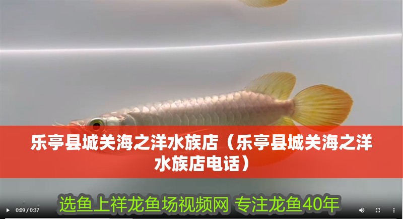 樂亭縣城關(guān)海之洋水族店（樂亭縣城關(guān)海之洋水族店電話）