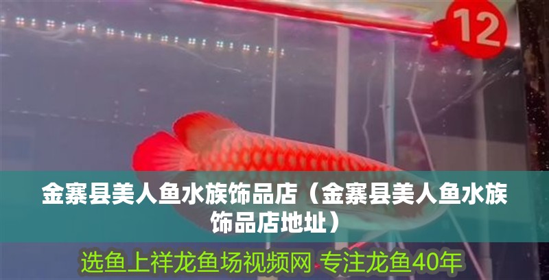金寨縣美人魚水族飾品店（金寨縣美人魚水族飾品店地址） 金寨縣美人魚水族飾品店（金寨縣美人魚水族飾品店地址） 全國水族館企業(yè)名錄 第2張