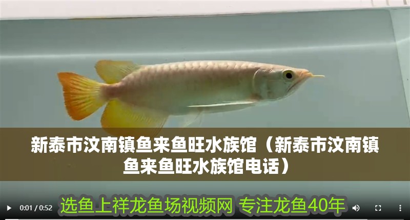 新泰市汶南鎮(zhèn)魚來魚旺水族館（新泰市汶南鎮(zhèn)魚來魚旺水族館電話）