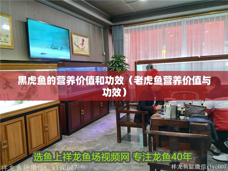 黑虎魚的營養價值和功效（老虎魚營養價值與功效）