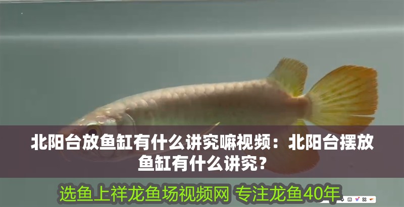北陽臺放魚缸有什么講究嘛視頻：北陽臺擺放魚缸有什么講究？
