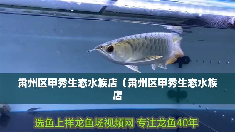 肅州區甲秀生態水族店（肅州區甲秀生態水族店 肅州區甲秀生態水族店（肅州區甲秀生態水族店 全國水族館企業名錄 第2張