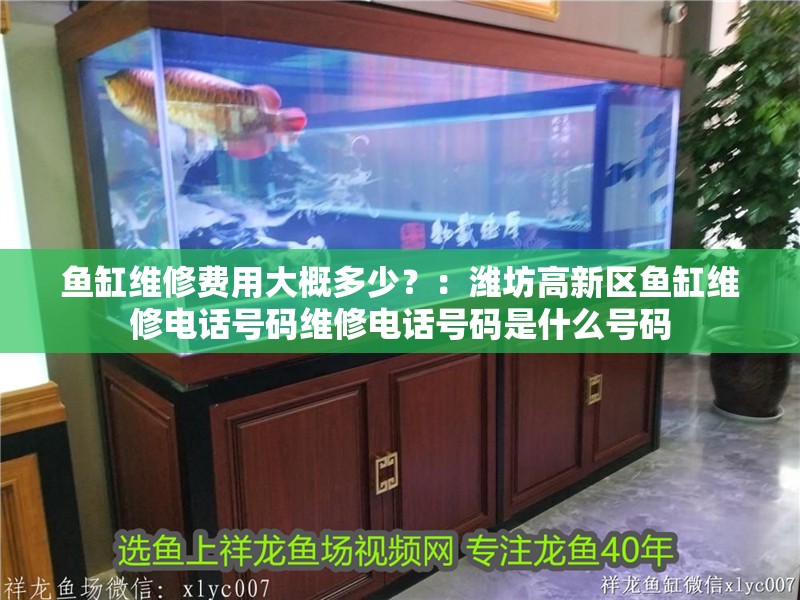 魚缸維修費用大概多少？：濰坊高新區魚缸維修電話號碼維修電話號碼是什么號碼