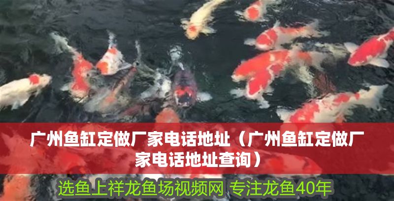 廣州魚缸定做廠家電話地址（廣州魚缸定做廠家電話地址查詢）