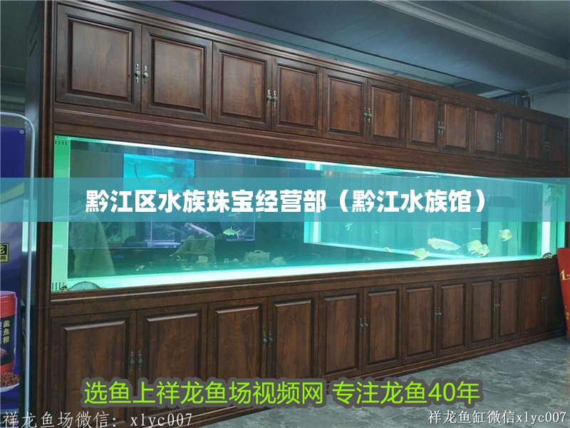 黔江區(qū)水族珠寶經(jīng)營部（黔江水族館）