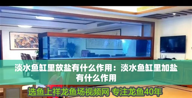 淡水魚缸里放鹽有什么作用：淡水魚缸里加鹽有什么作用