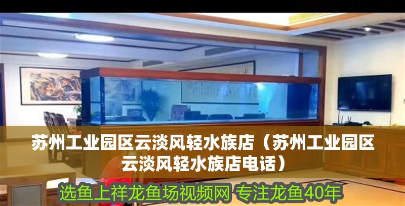 蘇州工業園區云淡風輕水族店（蘇州工業園區云淡風輕水族店電話）