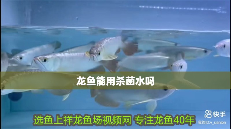 龍魚能用殺菌水嗎 龍魚能用殺菌水嗎 龍魚百科