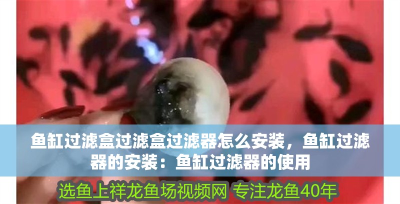 魚缸過濾盒過濾盒過濾器怎么安裝，魚缸過濾器的安裝：魚缸過濾器的使用