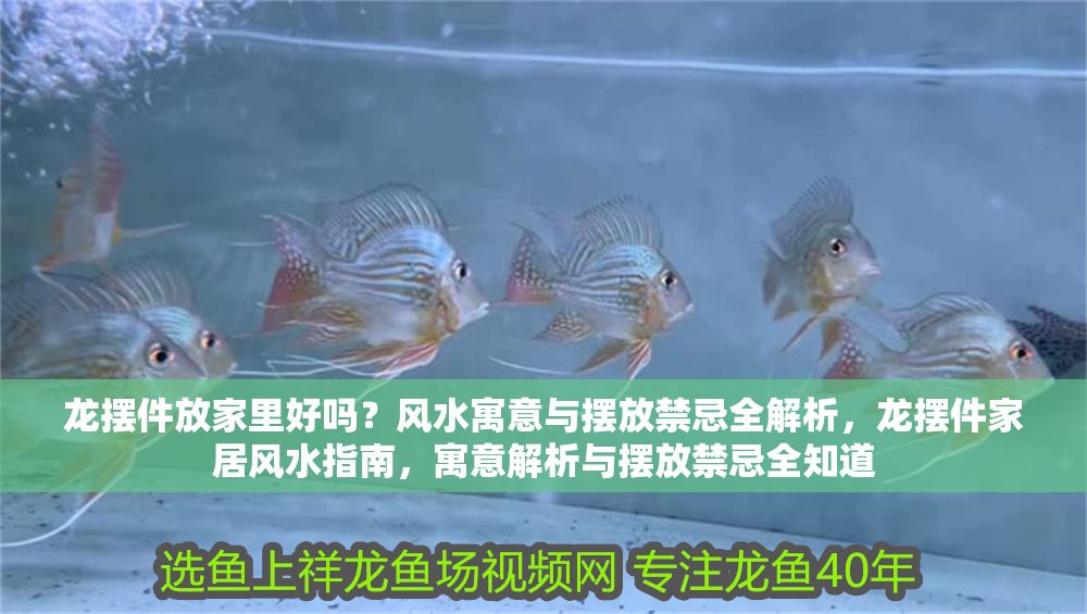 龍擺件放家里好嗎？風水寓意與擺放禁忌全解析，龍擺件家居風水指南，寓意解析與擺放禁忌全知道 龍擺件放家里好嗎？風水寓意與擺放禁忌全解析，龍擺件家居風水指南，寓意解析與擺放禁忌全知道 龍魚百科 第1張