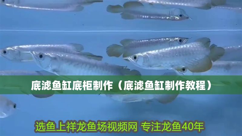 底濾魚缸底柜制作（底濾魚缸制作教程）