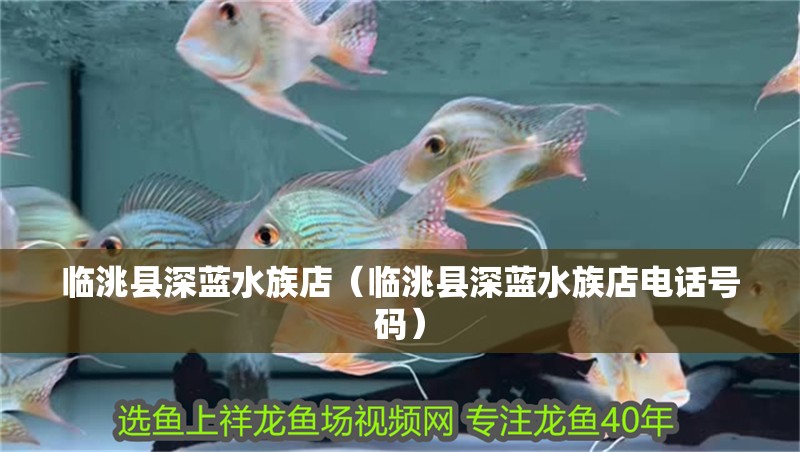 臨洮縣深藍水族店（臨洮縣深藍水族店電話號碼） 臨洮縣深藍水族店（臨洮縣深藍水族店電話號碼） 全國水族館企業名錄 第2張