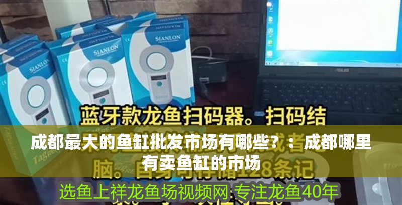 <strong><mark>成都</mark></strong>最大的魚缸批發市場有哪些？：<strong><mark>成都</mark></strong>哪里有賣魚缸的市場