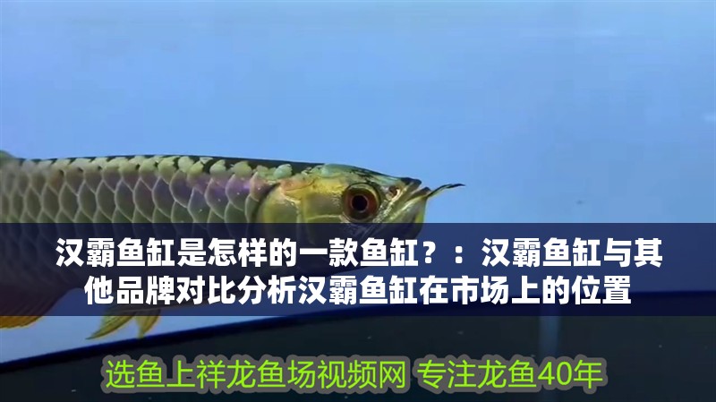 漢霸魚缸是怎樣的一款魚缸？：漢霸魚缸與其他品牌對比分析漢霸魚缸在市場上的位置