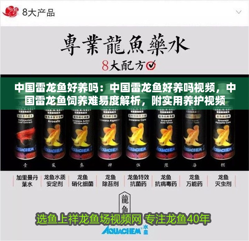 中國雷龍魚好養(yǎng)嗎：中國雷龍魚好養(yǎng)嗎視頻，中國雷龍魚飼養(yǎng)難易度解析，附實用養(yǎng)護(hù)視頻