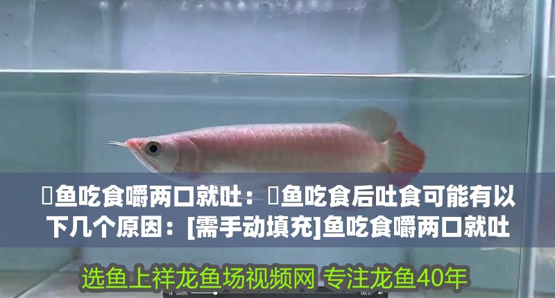 魟魚吃食嚼兩口就吐：魟魚吃食后吐食可能有以下幾個(gè)原因：[需手動(dòng)填充]魚吃食嚼兩口就吐