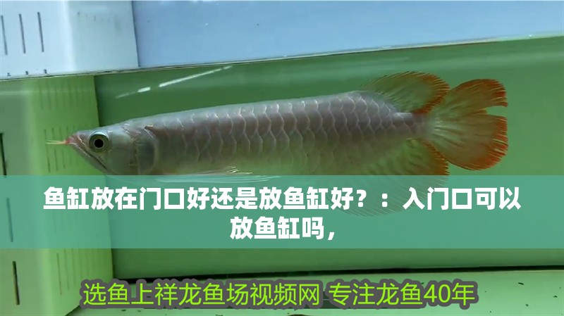 魚缸放在門口好還是放魚缸好？：入門口可以放魚缸嗎， 魚缸放在門口好還是放魚缸好？：入門口可以放魚缸嗎， 魚缸百科
