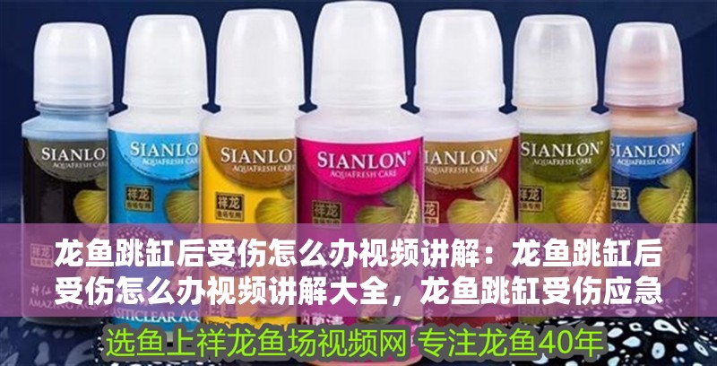 龍魚(yú)跳缸后受傷怎么辦視頻講解：龍魚(yú)跳缸后受傷怎么辦視頻講解大全，龍魚(yú)跳缸受傷應(yīng)急處理全攻略