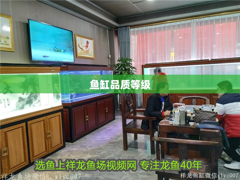 紅龍魚用黃燈烤有用嗎 魚缸品質(zhì)等級 魚缸百科 魚缸品質(zhì)等級 魚缸品質(zhì)等級 魚缸百科