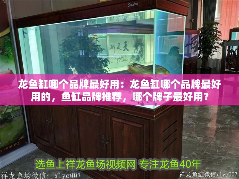 龍魚缸哪個品牌最好用：龍魚缸哪個品牌最好用的，魚缸品牌推薦，哪個牌子最好用？ 龍魚缸哪個品牌最好用：龍魚缸哪個品牌最好用的，魚缸品牌推薦，哪個牌子最好用？ 水族問答