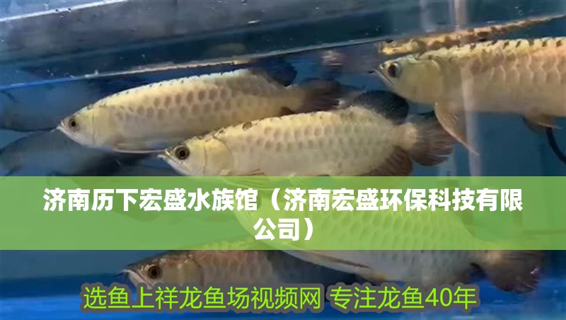 濟南歷下宏盛水族館（濟南宏盛環(huán)保科技有限公司）