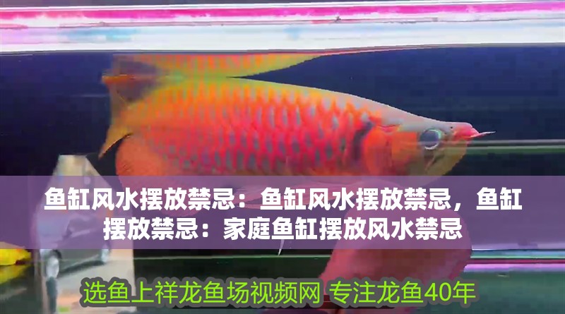 魚缸風(fēng)水?dāng)[放禁忌：魚缸風(fēng)水?dāng)[放禁忌，魚缸擺放禁忌：家庭魚缸擺放風(fēng)水禁忌 魚缸風(fēng)水?dāng)[放禁忌：魚缸風(fēng)水?dāng)[放禁忌，魚缸擺放禁忌：家庭魚缸擺放風(fēng)水禁忌 魚缸百科
