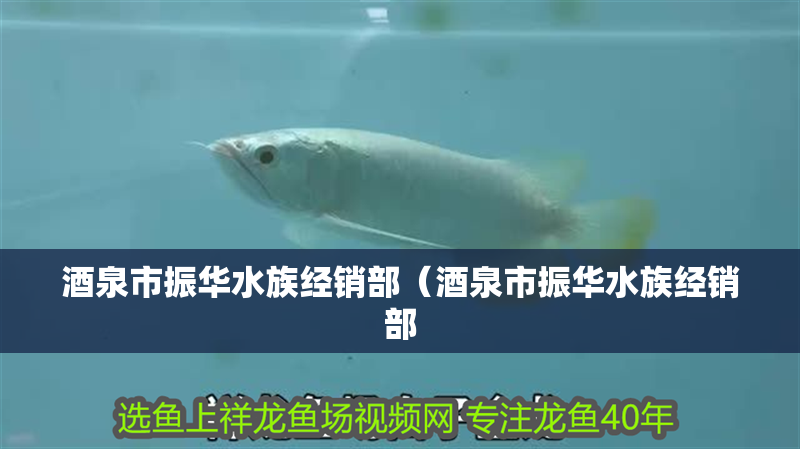 酒泉市振華水族經(jīng)銷部（酒泉市振華水族經(jīng)銷部 酒泉市振華水族經(jīng)銷部（酒泉市振華水族經(jīng)銷部 全國水族館企業(yè)名錄 第2張