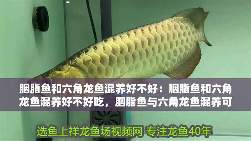 平涼水族館各位大神看看能值個怎樣的價位？
