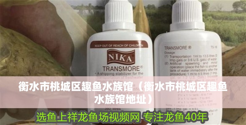 衡水市桃城區(qū)趣魚水族館（衡水市桃城區(qū)趣魚水族館地址）