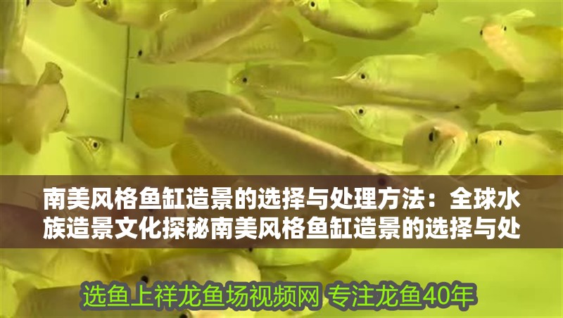 南美風格魚缸造景的選擇與處理方法：全球水族造景文化探秘南美風格魚缸造景的選擇與處理技巧