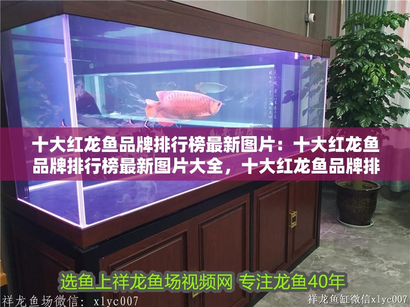 十大紅龍魚品牌排行榜最新圖片：十大紅龍魚品牌排行榜最新圖片大全，十大紅龍魚品牌排行榜最新圖片大全 十大紅龍魚品牌排行榜最新圖片：十大紅龍魚品牌排行榜最新圖片大全，十大紅龍魚品牌排行榜最新圖片大全 水族問答