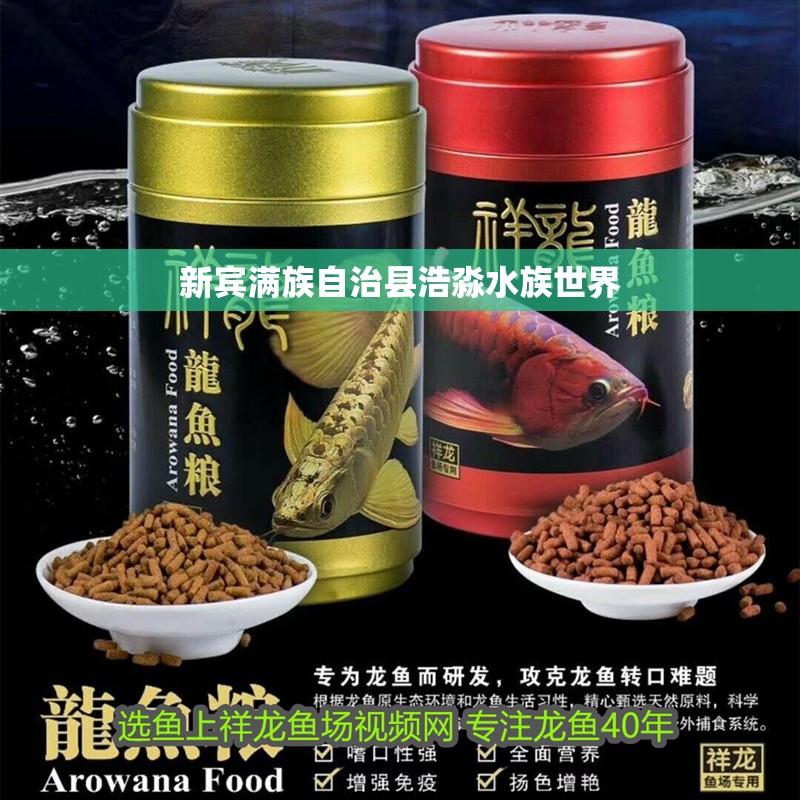 新賓滿族自治縣浩淼水族世界 全國(guó)水族館企業(yè)名錄 第2張 新賓滿族自治縣浩淼水族世界 新賓滿族自治縣浩淼水族世界 全國(guó)水族館企業(yè)名錄 第2張