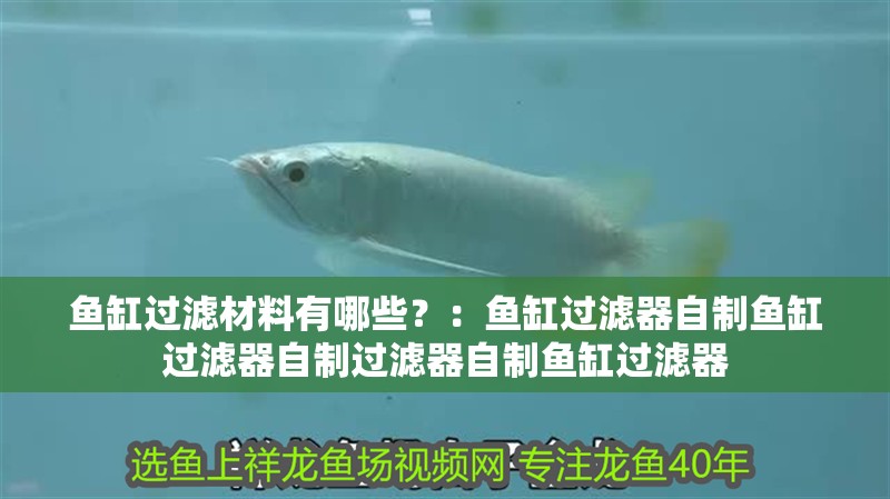 魚缸過濾材料有哪些？：魚缸過濾器自制魚缸過濾器自制過濾器自制魚缸過濾器