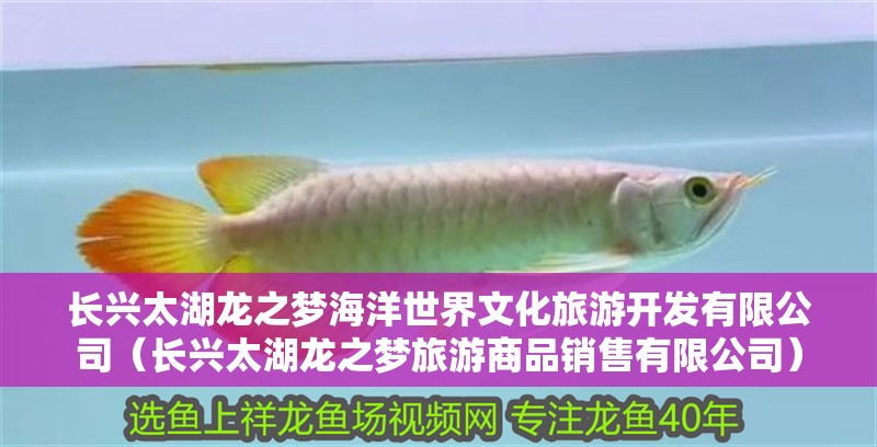 長(zhǎng)興太湖龍之夢(mèng)海洋世界文化旅游開發(fā)有限公司（長(zhǎng)興太湖龍之夢(mèng)旅游商品銷售有限公司）