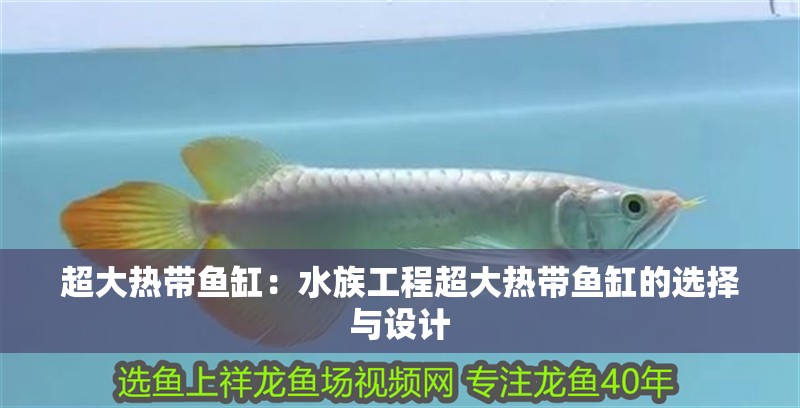 超大熱帶魚缸：水族工程超大熱帶魚缸的選擇與設(shè)計