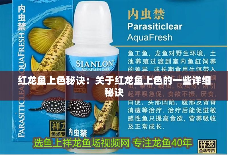 紅龍魚上色秘訣：關于紅龍魚上色的一些詳細秘訣