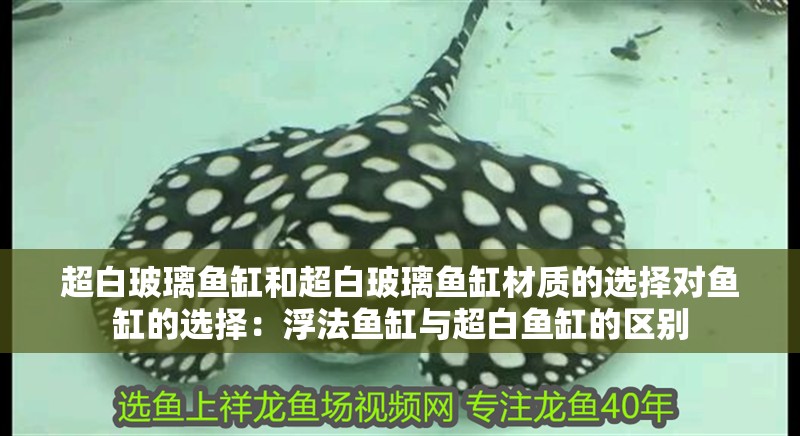 超白玻璃魚缸和超白玻璃魚缸材質的選擇對魚缸的選擇：浮法魚缸與超白魚缸的區(qū)別