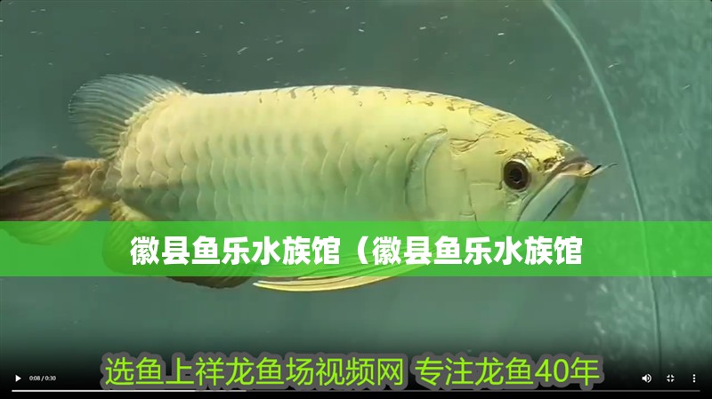 徽縣魚樂水族館（徽縣魚樂水族館 徽縣魚樂水族館（徽縣魚樂水族館 全國水族館企業名錄 第2張